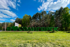 Арт-объект из искусственной травы