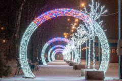18. фотозона арка с деревом на новый год