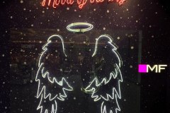 фотозона-из-неоновых-трубок-MF2