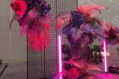 фотозона-из-неоновых-трубок