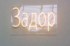задори
