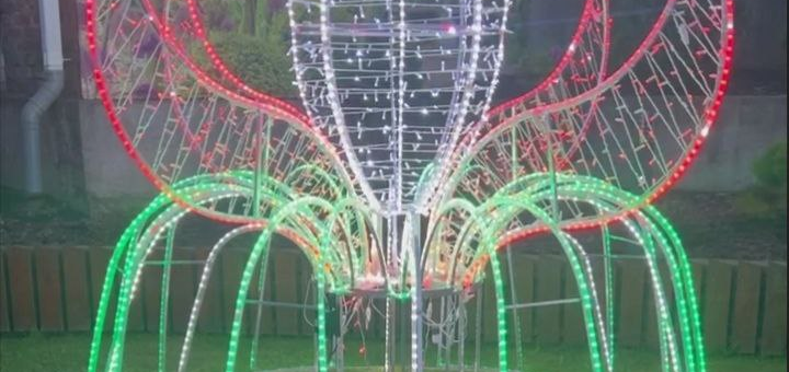 Сказочный Цветок 3D