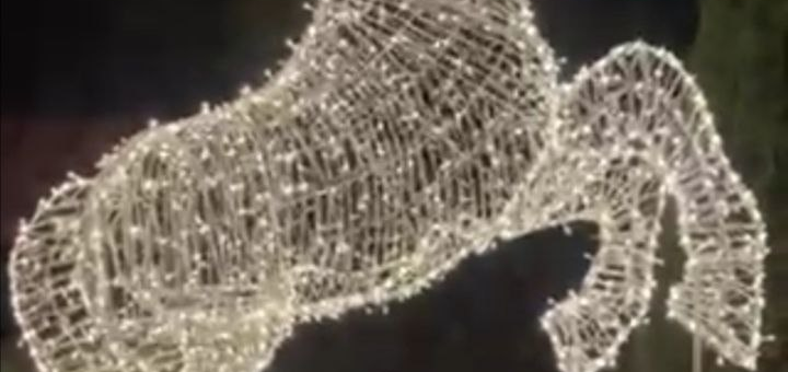 Светодиодная фигура “Конь”